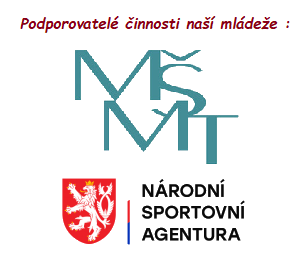  Činnost naší mládeže je finančně podporována z programu č.VIII MŠMT